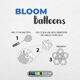 Conjunto de Bexigas (7" e 10") Bloom Neon PT 12 UN Balloontech